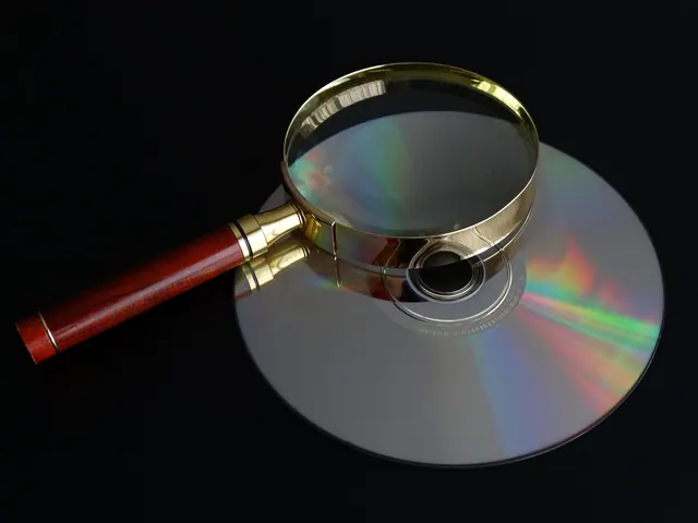 cd, magnifying glass, data search, seek, find, magnifying glass, data search, data search, data search, data search, data search, seek, find. How to find and request public records, step by step