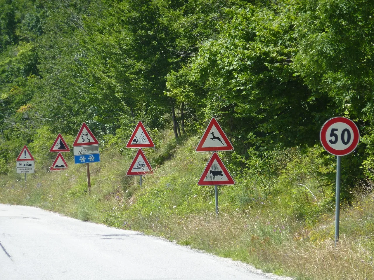 traffic, sign, road, warning, information, traffic sign jungle, forest of sign posts, green road, green information. Roadside design studios and regional warning signs: how local facts get lost