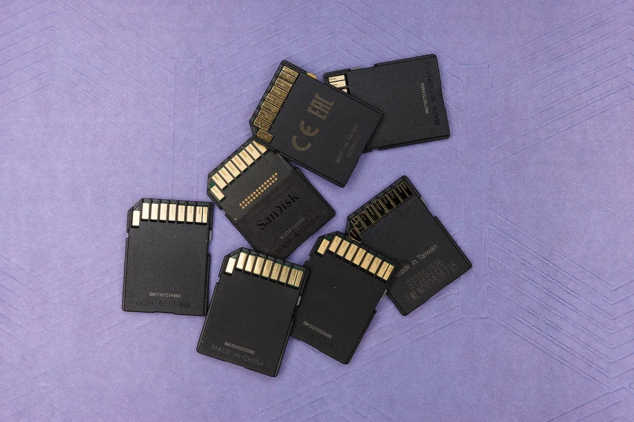sd card, space, backup, storage, technology, digital, innovative, data, internet, information, online, upload, multimedia, research, computer, database, transmission, download, work, equipment, document, sharing, recovery, archiving, security, sd card, sd card, sd card, sd card, sd card. How to Verify a Product Recall Claim Before You Report It